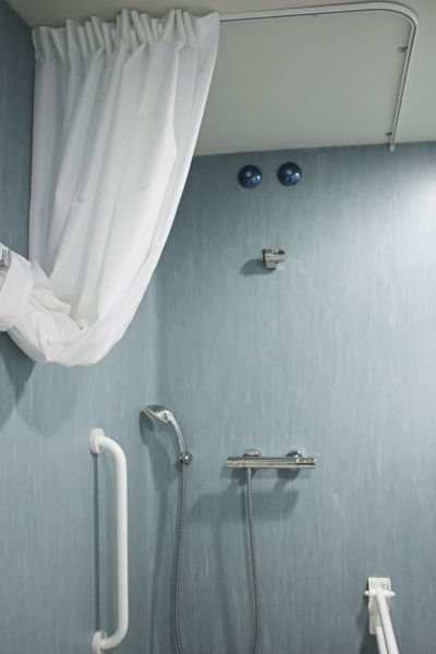 Shower Rail Installation in Traverse City