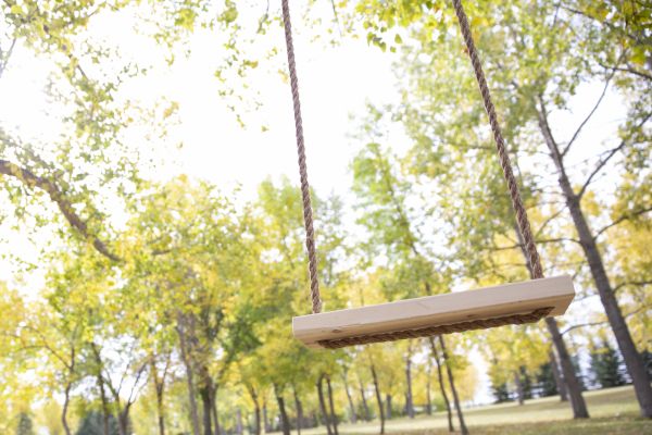 Tree Swing Installation in Traverse City