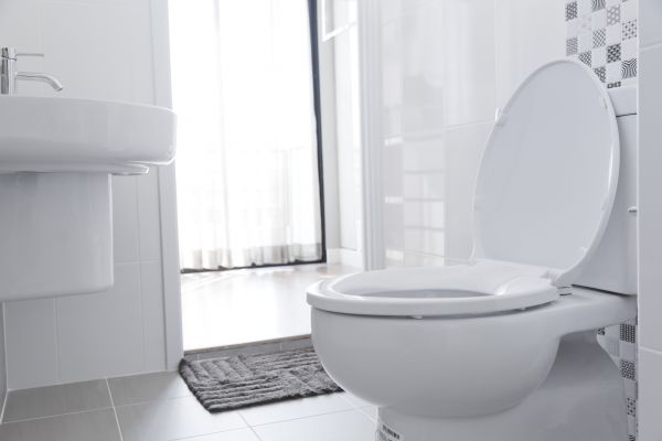 Toilet Seat Installation in Traverse City