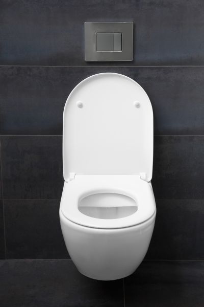 Toilet Lid Installation in Traverse City