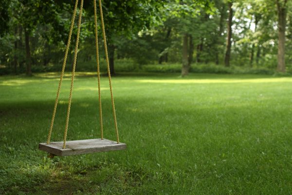 Rope Swing Installation in Traverse City
