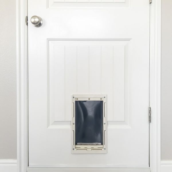 Pet Door Repair in Traverse City