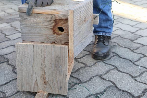 Birdhouse Mounting in Traverse City