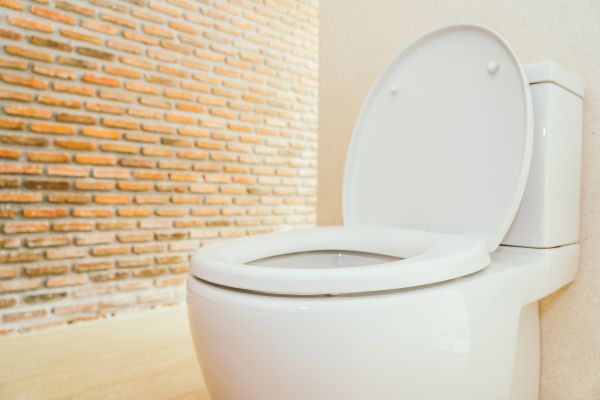 Toilet Seat Repair in Traverse City